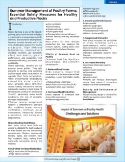 Summer Management of Poultry Farms — Essential Safety Measures for Healthy Flocks